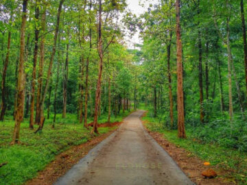Mamalakandam